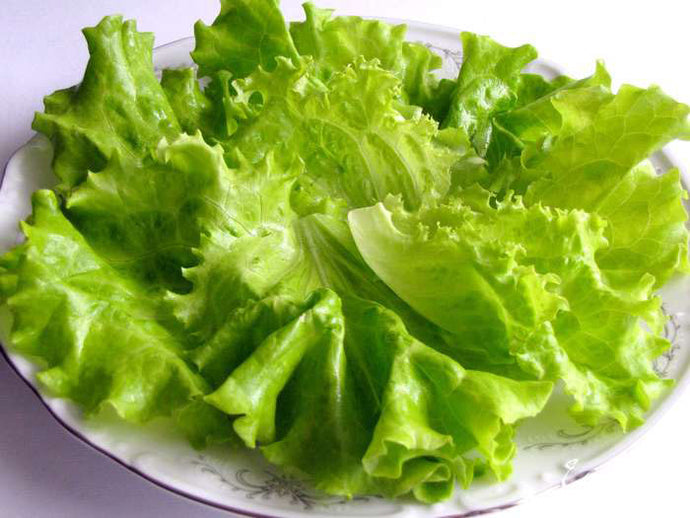 Health and Nutrition Benefits of Red Leaf Lettuce