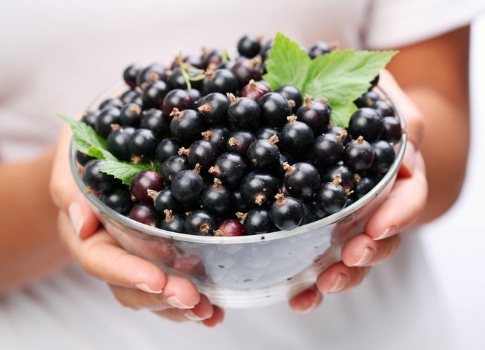 Amazing Benefits Of Black Currant